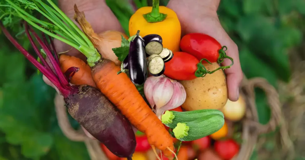 Fresh Ingredients for Roasted Vegetables